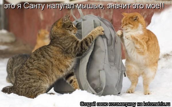 Котоматрица: это я Санту напугал мышью, значит это мое!!