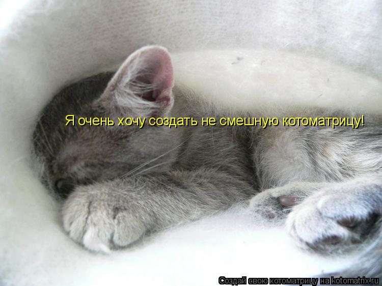 Котоматрица: Я очень хочу создать не смешную котоматрицу!