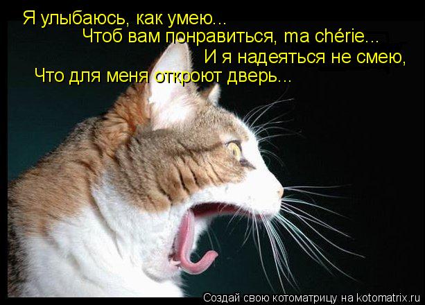 Я улыбаюсь, как умею... Чтоб вам понравиться, ma chérie... И я надеяться не смею, Что для меня о... Котоматрица: Я улыбаюсь, как умею... Чтоб вам понравиться, ma chérie... И я надеяться не смею, Что для меня откроют дверь...