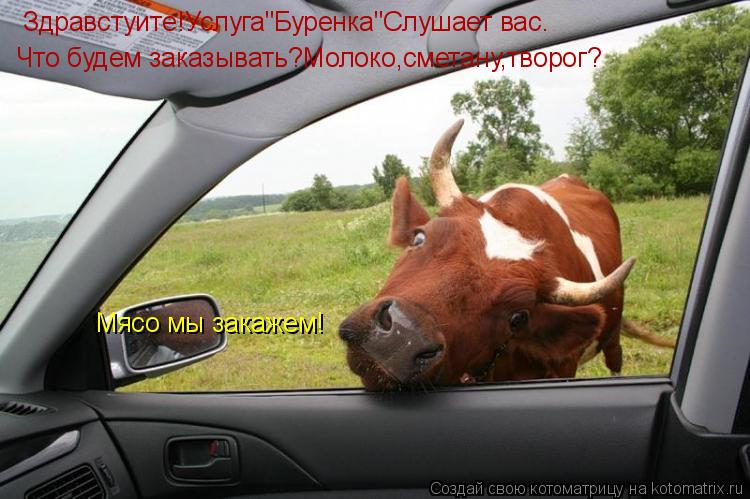 Здравстуите!Услуга"Буренка"Слушает вас. Что будем заказывать?Молоко,сметану,творог? Мясо мы закажем!... Котоматрица: Здравстуите!Услуга"Буренка"Слушает вас. Что будем заказывать?Молоко,сметану,творог? Мясо мы закажем!