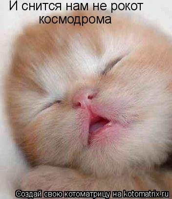 И снится нам не рокот космодрома... Котоматрица: И снится нам не рокот космодрома
