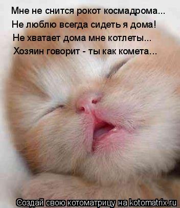 Мне не снится рокот космадрома... Не люблю всегда сидеть я дома! Не хватает дома мне котлеты... Хозяи... Котоматрица: Мне не снится рокот космадрома... Не люблю всегда сидеть я дома! Не хватает дома мне котлеты... Хозяин говорит - ты как комета...