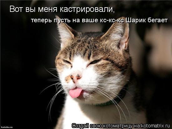 Вот вы меня кастрировали, теперь пусть на ваше кс-кс-кс Шарик бегает... Котоматрица: Вот вы меня кастрировали, теперь пусть на ваше кс-кс-кс Шарик бегает