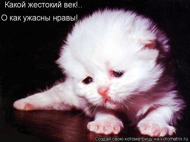 Какой жестокий век!.. О как ужасны нравы!..... Котоматрица: Какой жестокий век!.. О как ужасны нравы!..