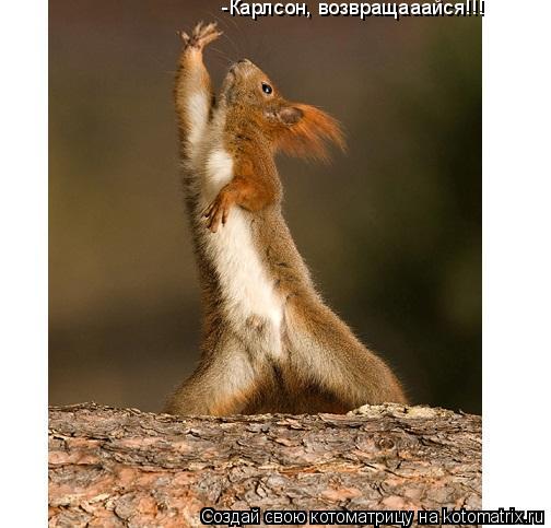 -Карлсон, возвращааайся!!!... Котоматрица: -Карлсон, возвращааайся!!!