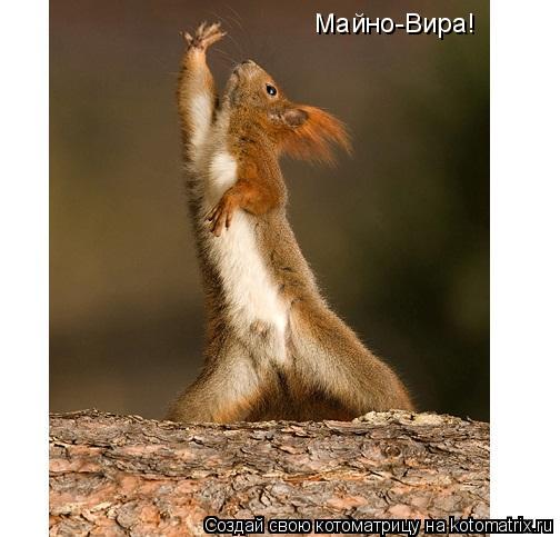 Майно-Вира!... Котоматрица: Майно-Вира!