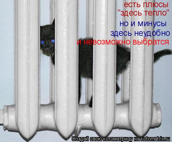 есть плюсы "здесь тепло" но и минусы здесь неудобно и невозможно выбратся... Котоматрица: есть плюсы "здесь тепло" но и минусы здесь неудобно и невозможно выбратся