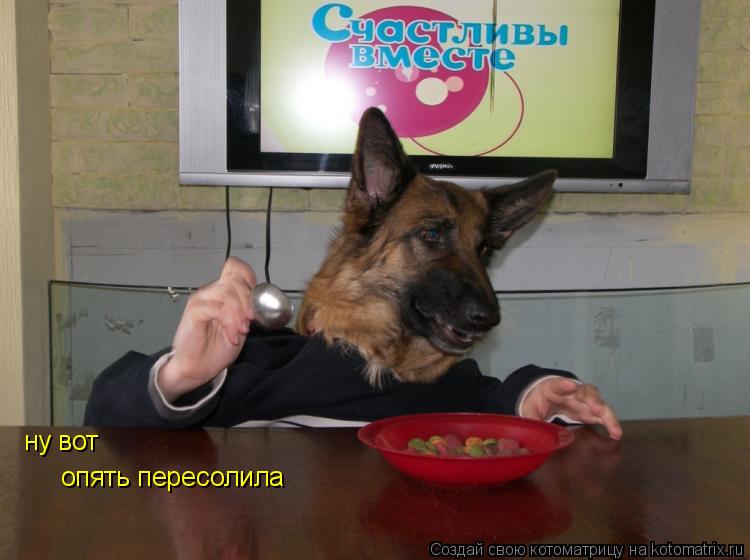 опять пересолила ну вот... Котоматрица: опять пересолила ну вот