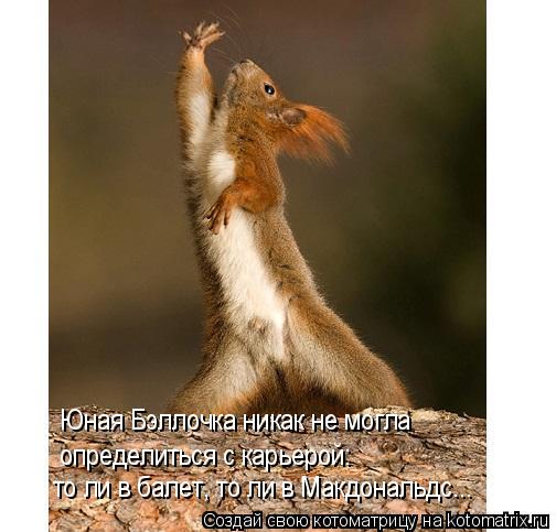 Юная Бэллочка никак не могла определиться с карьерой: то ли в балет, то ли в Макдональдс...... Котоматрица: Юная Бэллочка никак не могла определиться с карьерой: то ли в балет, то ли в Макдональдс...