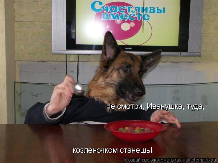 Не смотри, Иванушка, туда, козленочком станешь!... Котоматрица: Не смотри, Иванушка, туда, козленочком станешь!