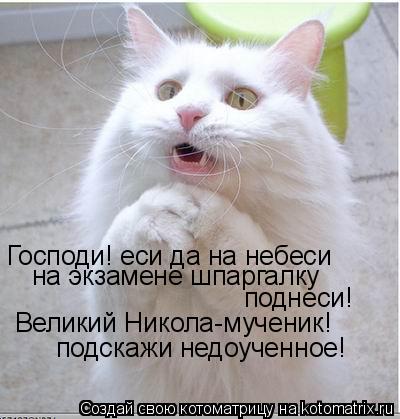 Господи! еси да на небеси на экзамене шпаргалку поднеси! Великий Никола-мученик! подскажи недоученное... Котоматрица: Господи! еси да на небеси на экзамене шпаргалку поднеси! Великий Никола-мученик! подскажи недоученное!