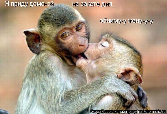 Я приду домо-ой на закате дня обниму-у жену-у-у... ,... Котоматрица: Я приду домо-ой на закате дня обниму-у жену-у-у... ,