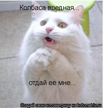 Колбаса вредная... отдай ее мне...... Котоматрица: Колбаса вредная... отдай ее мне...