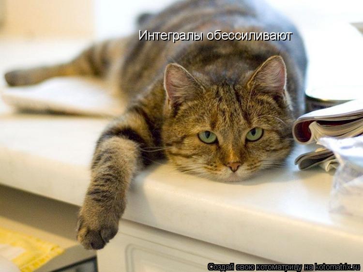 Интегралы обессиливают... Котоматрица: Интегралы обессиливают