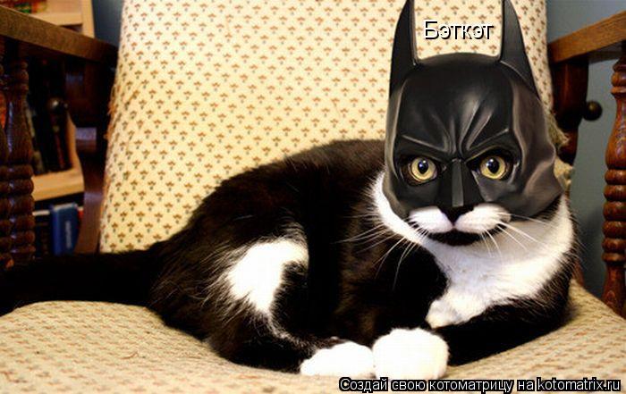 Бэткэт... Котоматрица: Бэткэт
