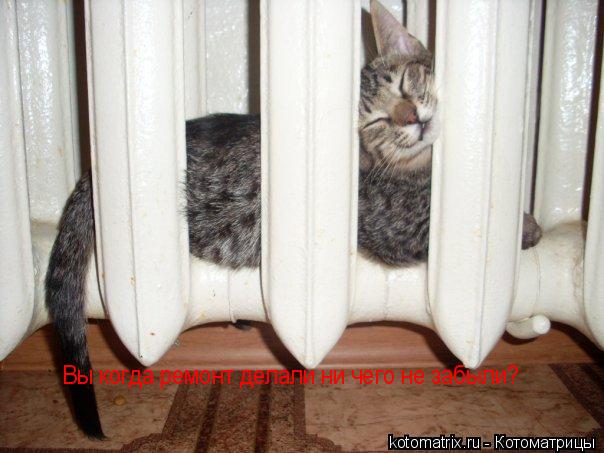 Вы когда ремонт делали ни чего не забыли?... Котоматрица: Вы когда ремонт делали ни чего не забыли?