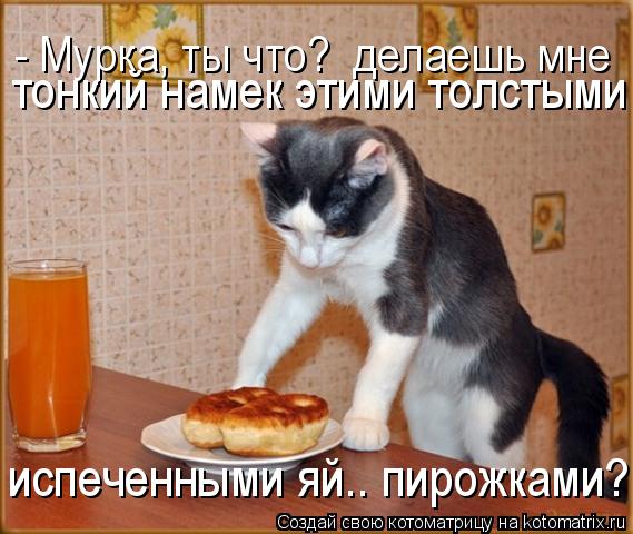 - Мурка, ты что? делаешь мне тонкий намек этими толстыми испеченными яй.. пирожками ? испеченными ... Котоматрица: - Мурка, ты что? делаешь мне тонкий намек этими толстыми испеченными яй.. пирожками ? испеченными яй.. пирожками?