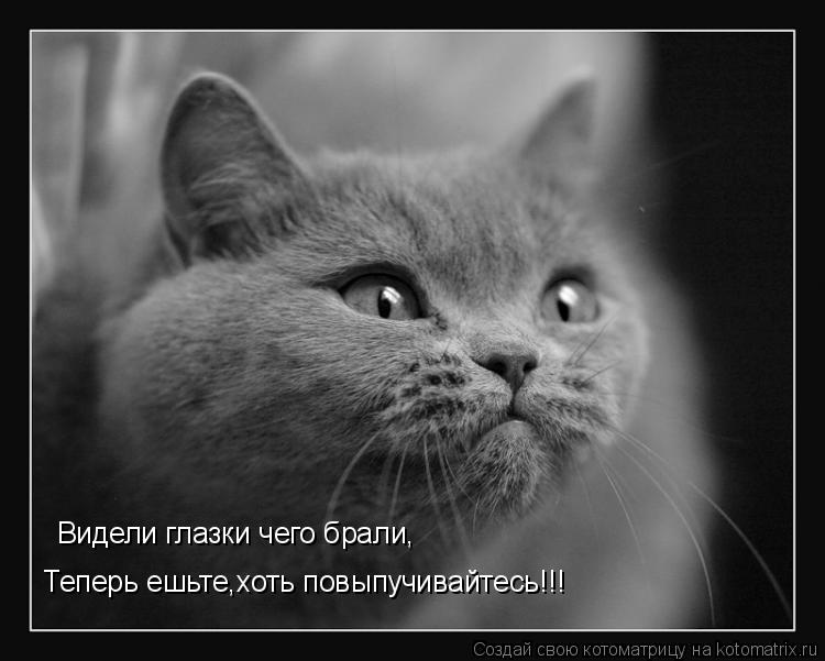 Котоматрица: Теперь ешьте,хоть повыпучивайтесь!!! Видели глазки чего брали,