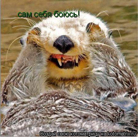 Котоматрица: сам себя боюсь!