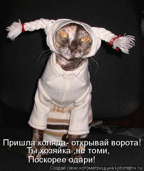 Котоматрица: Пришла коляда- открывай ворота! Ты,хозяйка ,не томи, Поскорее одари!
