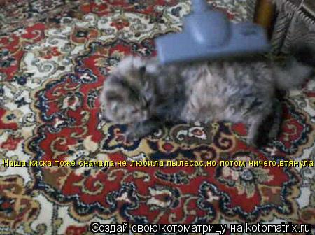 Котоматрица: Наша киска тоже сначала не любила пылесос,но потом ничего,втянулась