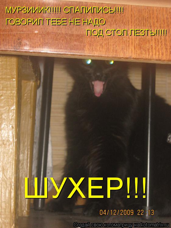 Котоматрица: МУРЗИИИК!!!!! СПАЛИЛИСЬ!!!!  ГОВОРИЛ ТЕБЕ НЕ НАДО ПОД СТОЛ ЛЕЗТЬ!!!!! ШУХЕР!!!