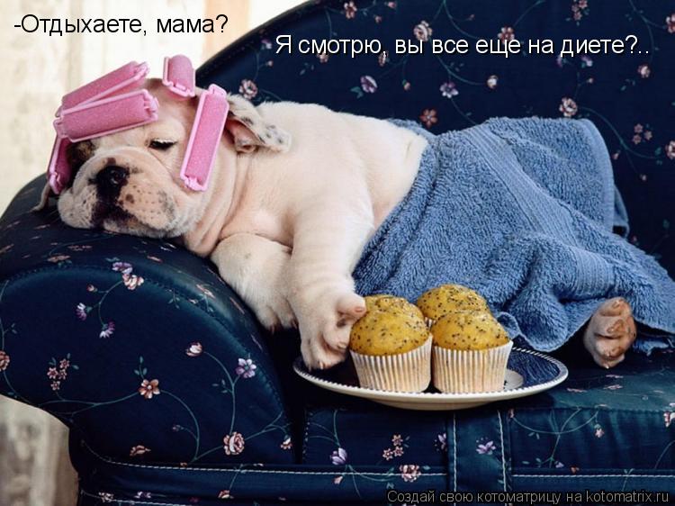 Котоматрица: -Отдыхаете, мама? Я смотрю, вы все еще на диете?..