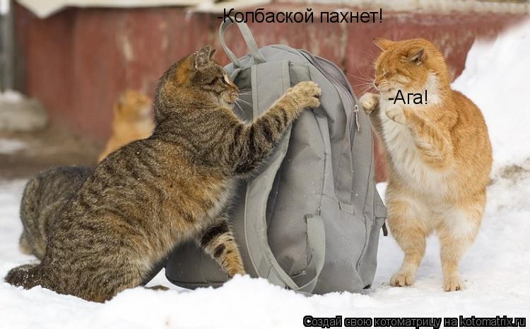 Котоматрица: -Колбаской пахнет! -Ага!