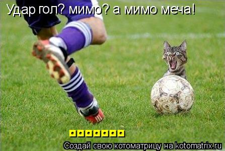 Котоматрица: Удар  гол? мимо? а мимо меча! ◘◘◘◘◘◘◘
