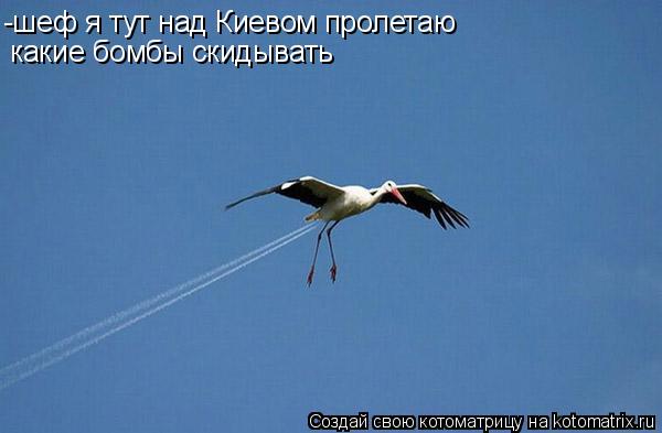 Котоматрица: -шеф я тут над Киевом пролетаю какие бомбы скидывать