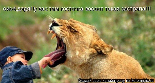 Котоматрица: ойоё,дядя!!у вас там косточка воооот такая застряла!!!