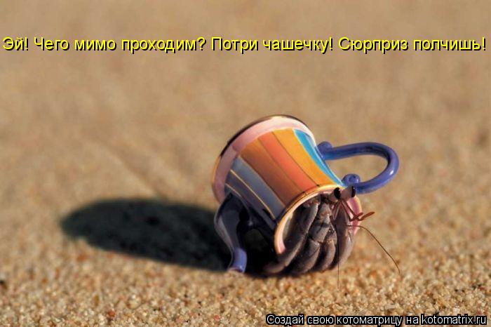 Котоматрица: Эй! Чего мимо проходим? Потри чашечку! Сюрприз полчишь!