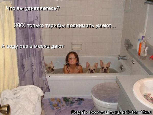 Котоматрица: Что вы удивляетесь? ЖКХ только тарифы поднимать умеют... А воду раз в месяц дают Кто успел - тот и чистый!