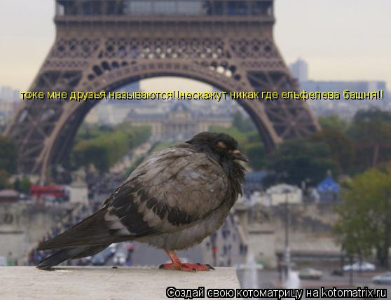 Котоматрица: тоже мне друзья называются!!нескажут никак где ельфелева башня!!