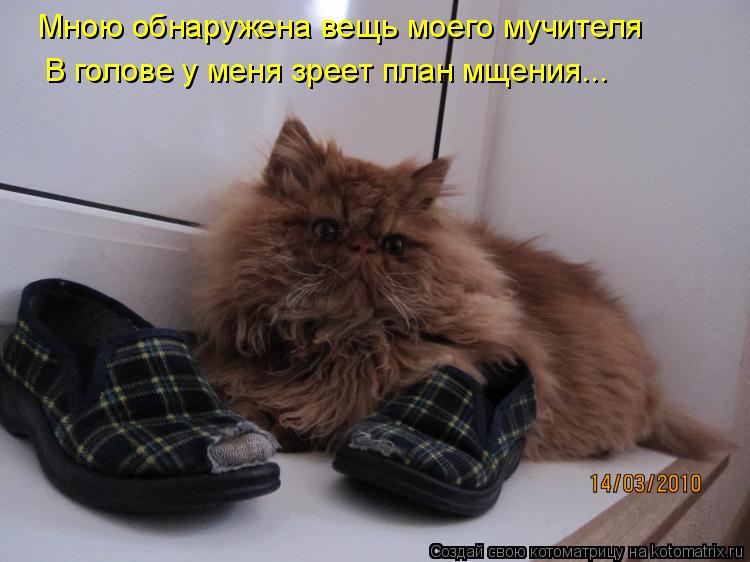 Котоматрица: Мною обнаружена вещь моего мучителя В голове у меня зреет план мщения...