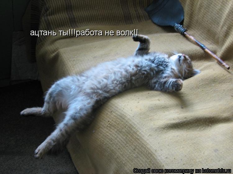 Котоматрица: ацтань ты!!!работа не волк!!