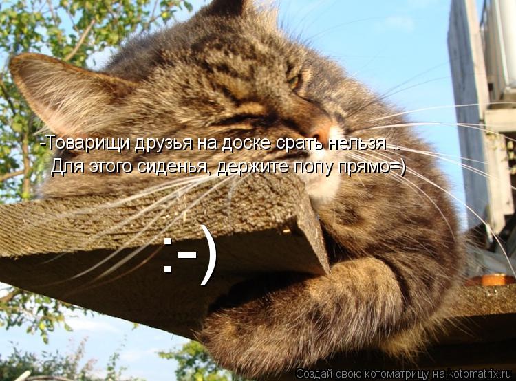 Котоматрица: -Товарищи друзья на доске срать нельзя .. Для этого сиденья, держите попу прямо=) :-)