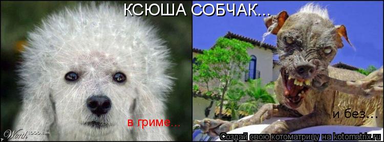 Котоматрица: КСЮША СОБЧАК...  в гриме... и без...