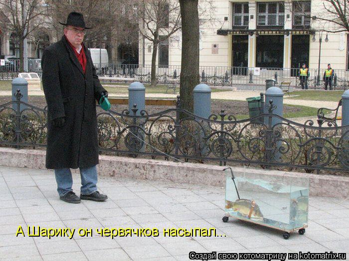 Котоматрица: А Шарику он червячков насыпал...