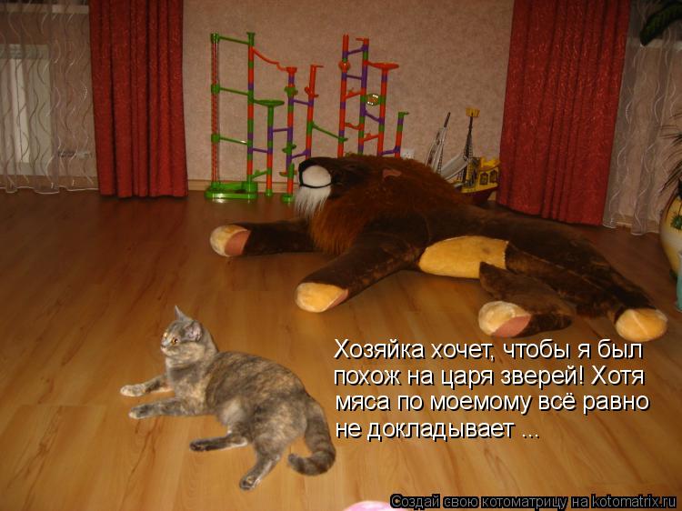 Котоматрица: Хозяйка хочет, чтобы я был похож на царя зверей! Хотя  мяса по моемому всё равно  не докладывает …..