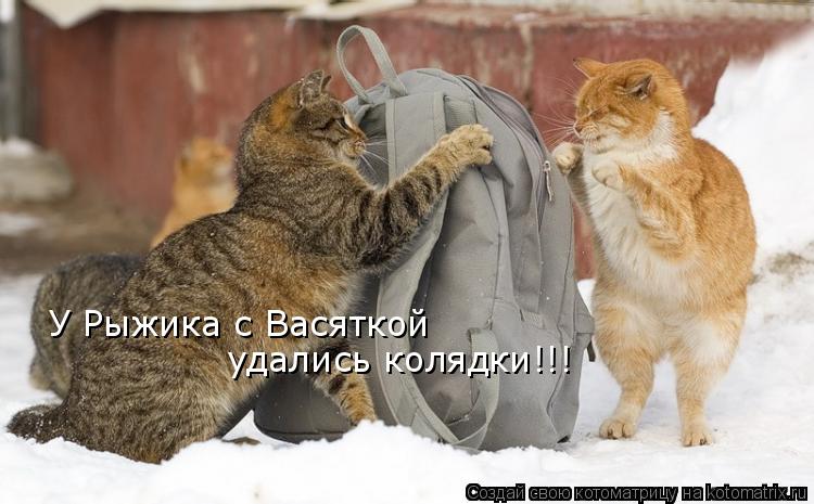 У Рыжика с Васяткой удались колядки!!!... Котоматрица: У Рыжика с Васяткой удались колядки!!!