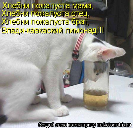 Котоматрица: Хлебни пожалуста мама, Хлебни пожалуста отец, Хлебни пожалуста брат, Влади-кавкаский лимонад!!!
