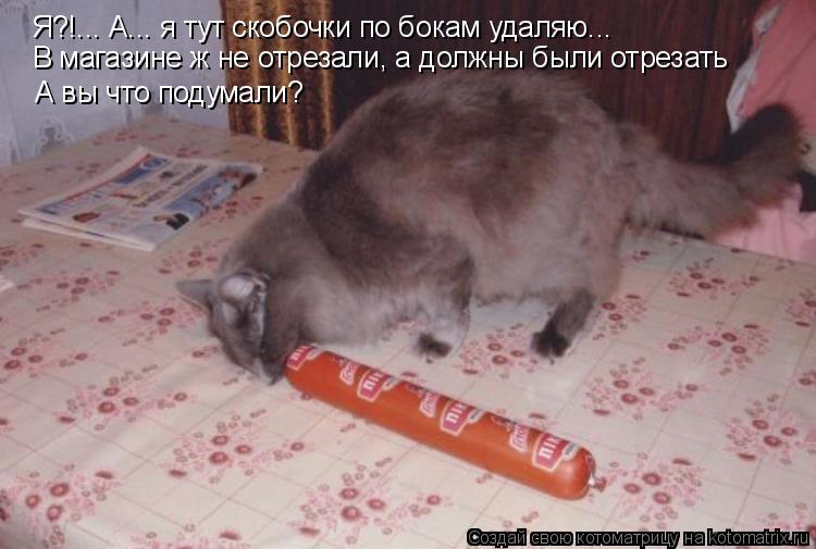 Котоматрица: Я?!... А... я тут скобочки по бокам удаляю... В магазине ж не отрезали, а должны были отрезать А вы что подумали?