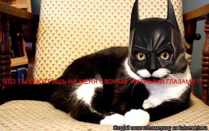 Котоматрица: ЧТО ТЫ СМОТРИШЬ НА МЕНЯ СВОИМИ ЖИРНЫМИ ГЛАЗАМИ??