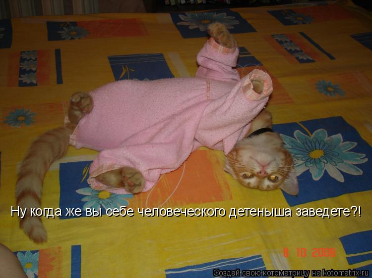 Котоматрица: Ну когда же вы себе человеческого детеныша заведете?!