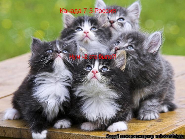 Котоматрица: Канада 7:3 Россия Ну и чё это было?!