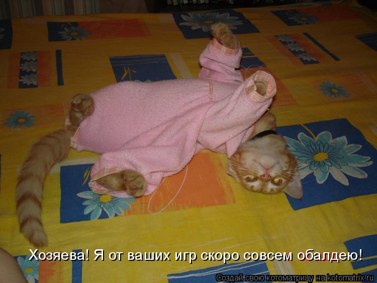 Котоматрица: Хозяева! Я от ваших игр скоро совсем обалдею! Хозяева! Я от ваших игр скоро совсем обалдею!