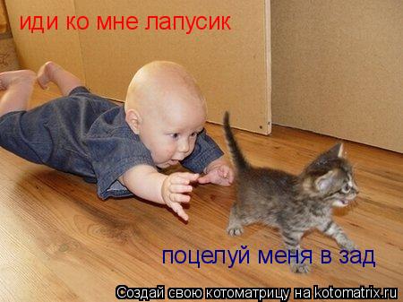 Котоматрица: иди ко мне лапусик поцелуй меня в зад
