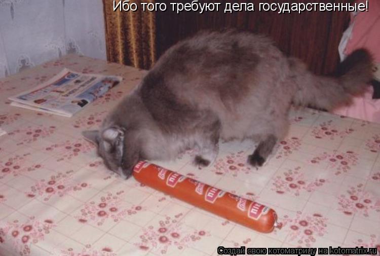 Котоматрица: Ибо того требуют дела государственные!