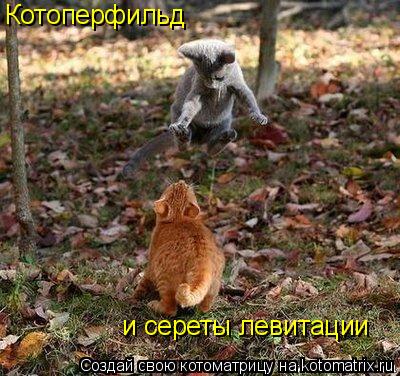 Котоматрица: Котоперфильд  и сереты левитации